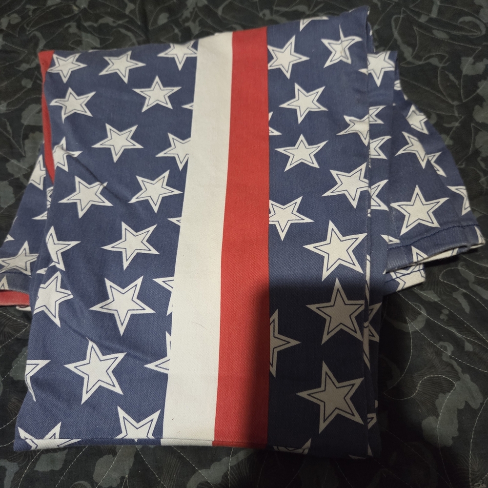 Free People Red and Blue Star Flare Jeans - Picture 4 of 5